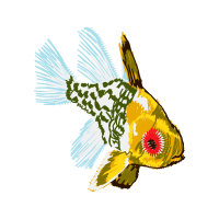 Marine Biology Animals