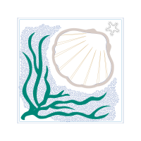 Marine Biology Animals