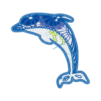 Marine Biology Animals