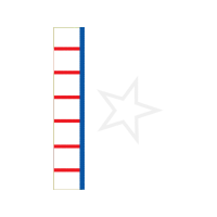 Marine Invertebrates Animals