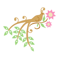 Marine Invertebrates Animals