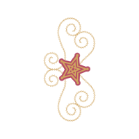 Marine Invertebrates Animals