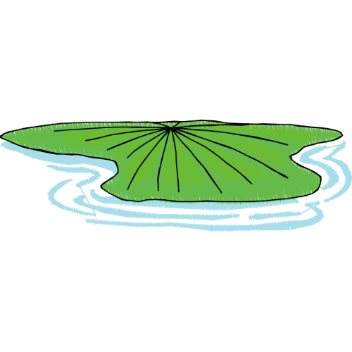 Marine Invertebrates Animals Marine Invertebrates Animals