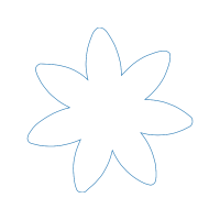 Marine Invertebrates Animals