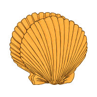 Marine Invertebrates Animals