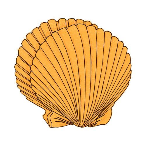 Marine Invertebrates Animals Marine Invertebrates Animals