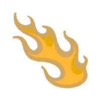 Marine Invertebrates Animals