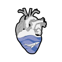 Monkey D Luffy Animals