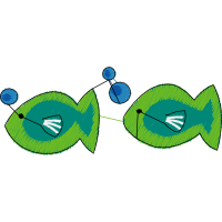 Net Winged Insects Animals