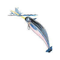 Net Winged Insects Animals