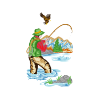 Northern Harrier Animals