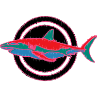 Northern Red Snapper Animals