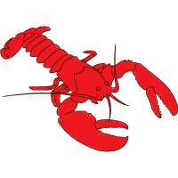 Optical Illusion Animals