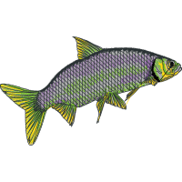 Paper Animals Paper Animals