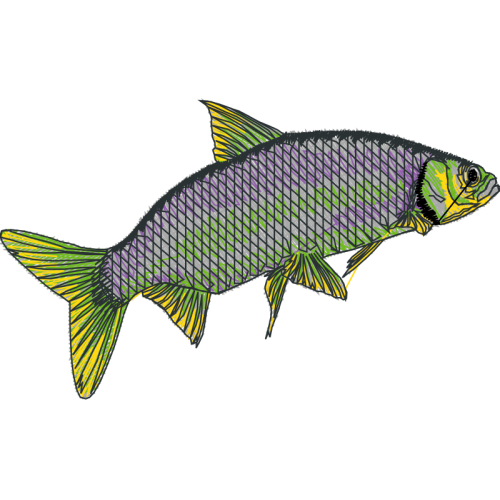 Paper Animals Paper Animals