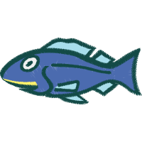 Pomacentridae Animals