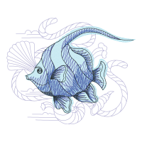 Pomacentridae Animals