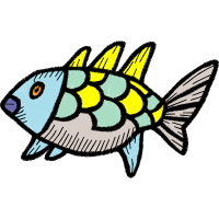 Pomacentridae Animals