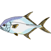 Pomacentridae Animals