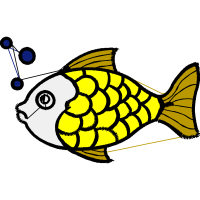 Pomacentridae Animals