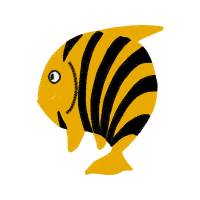 Pomacentridae Animals