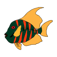 Pomacentridae Animals