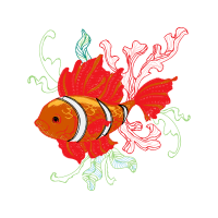 Pomacentridae Animals