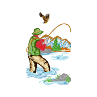 Red Tailed Hawk Animals