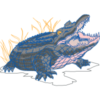 Saltwater Crocodile Animals Saltwater Crocodile Animals