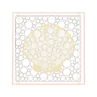 Scallop Animals Scallop Animals