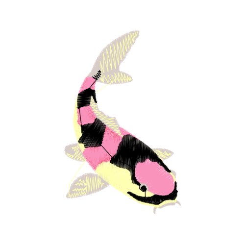 Sea Lions Animals Sea Lions Animals