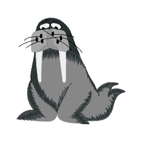 Sea Lions Animals Sea Lions Animals