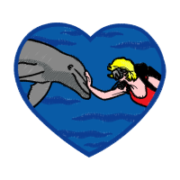 Sea Otter Animals Sea Otter Animals