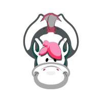 Sea Turtles Animals Sea Turtles Animals