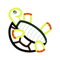 Sea Turtles Animals Sea Turtles Animals