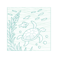 Sea Turtles Animals Sea Turtles Animals