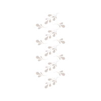 Sea Turtles Animals Sea Turtles Animals