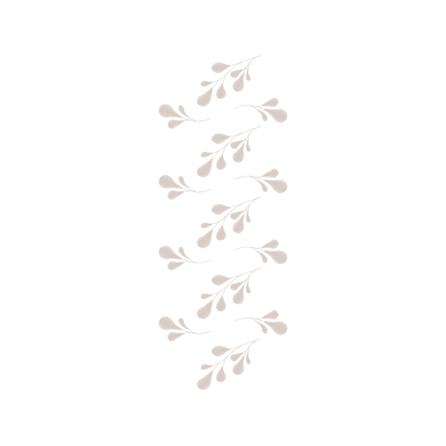 Sea Turtles Animals Sea Turtles Animals