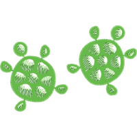 Sea Turtles Animals Sea Turtles Animals