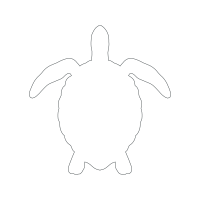 Sea Turtles Animals Sea Turtles Animals