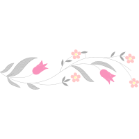 Sea Turtles Animals Sea Turtles Animals