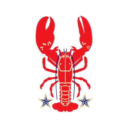 Seafood Boil Animals Seafood Boil Animals