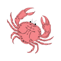 Seafood Boil Animals Seafood Boil Animals