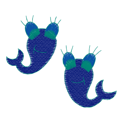 Seahorses Animals Seahorses Animals