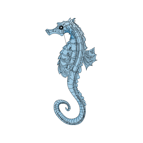 Seahorses Animals Seahorses Animals