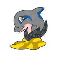 Short Beaked Common Dolphin Animals