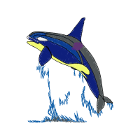 Short Beaked Common Dolphin Animals