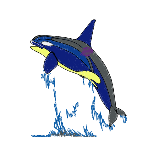 Short Beaked Common Dolphin Animals Short Beaked Common Dolphin Animals