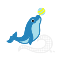 Short Beaked Common Dolphin Animals