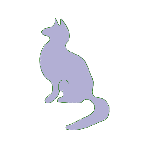 Short Beaked Common Dolphin Animals Short Beaked Common Dolphin Animals